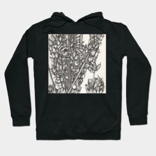 Botanical Study Hoodie